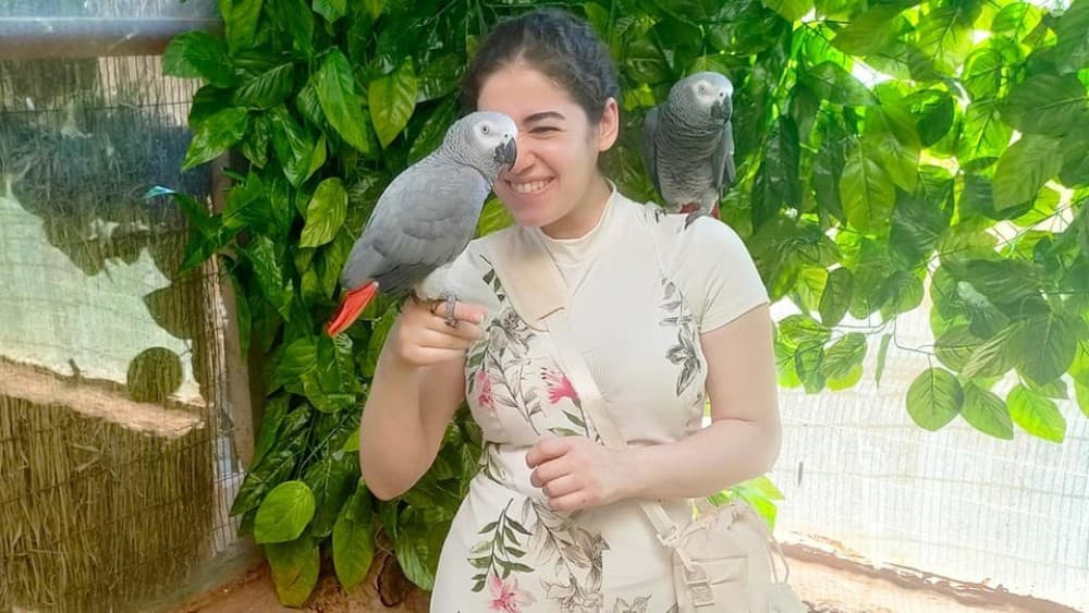 Cairo Safari Adventure: Africa Safari Park Guided Day Trip | ®ExcursionMania - Image 3