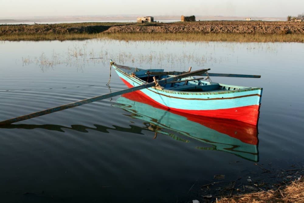 From Cairo: El Fayoum Oasis Private Day Trip with Lunch | ®ExcursionMania - Image 1
