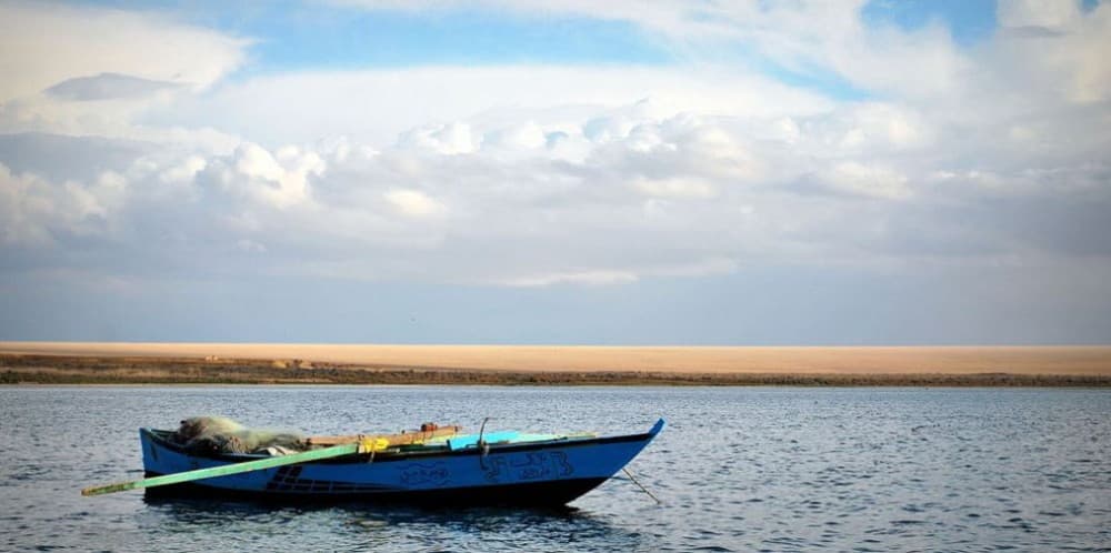 From Cairo: El Fayoum Oasis Private Day Trip with Lunch | ®ExcursionMania - Image 2