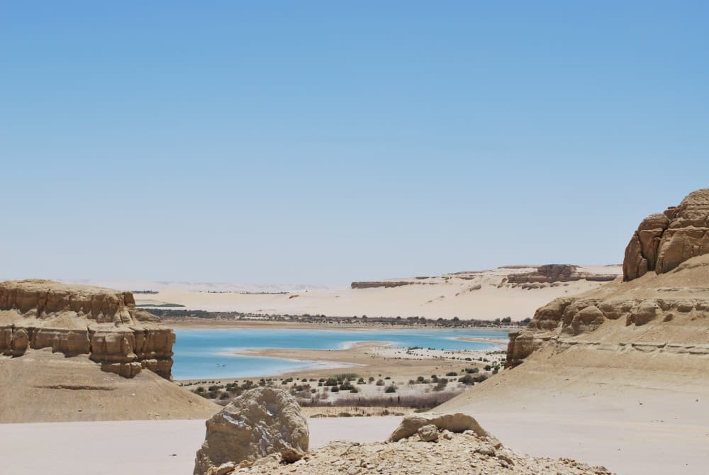 From Cairo: El Fayoum Oasis Private Day Trip with Lunch | ®ExcursionMania - Image 3