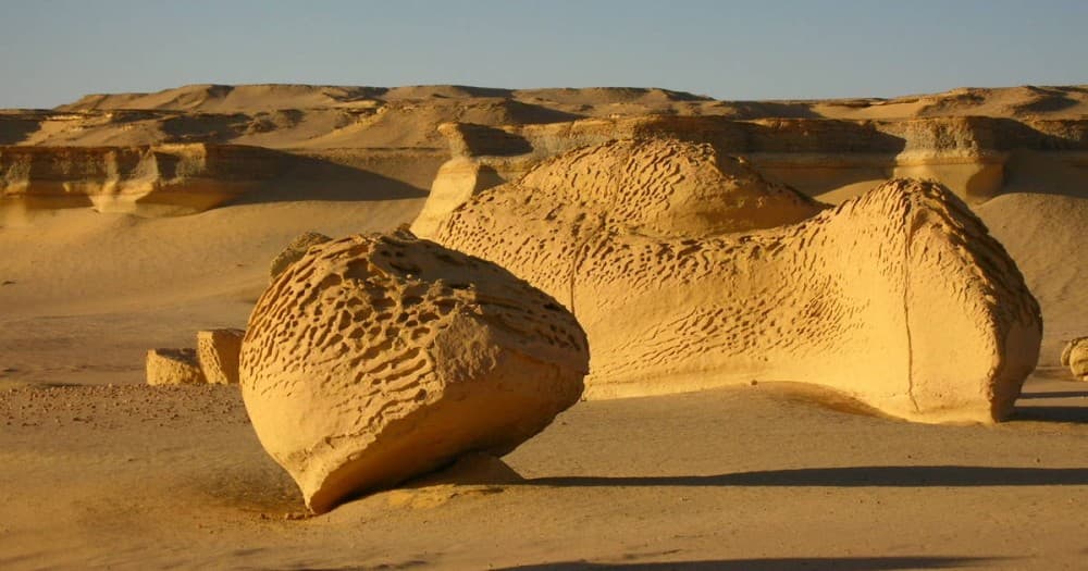 From Cairo: El Fayoum Oasis Private Day Trip with Lunch | ®ExcursionMania - Image 7