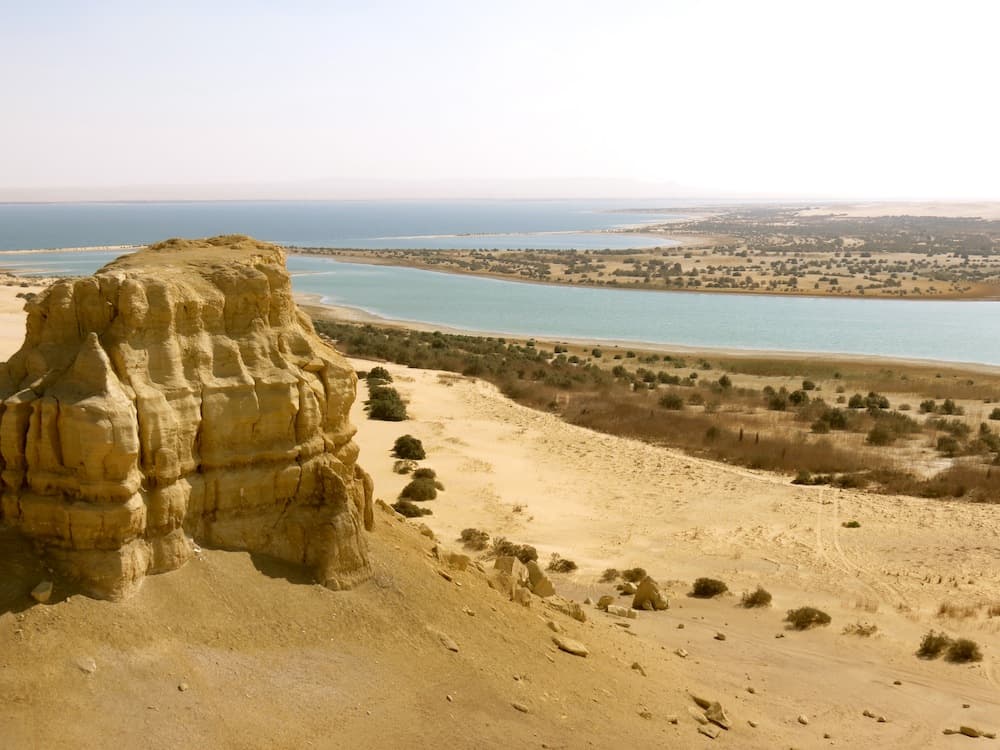 From Cairo: El Fayoum Oasis Private Day Trip with Lunch | ®ExcursionMania - Image 10