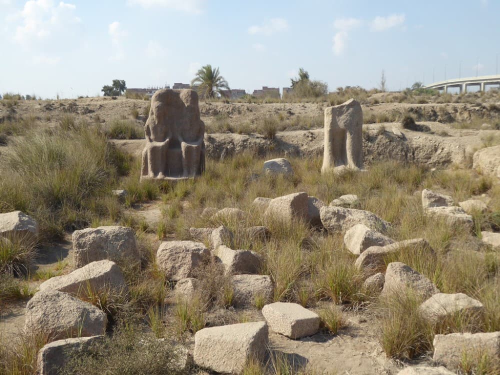 Cairo Day Trip: Tanis Zoan & Bubastis Tour with Lunch | ®ExcursionMania - Image 6