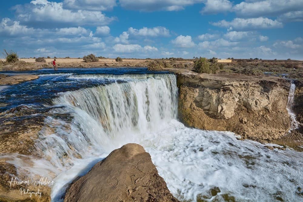 Cairo to Wadi El Ryan: El Fayoum Oasis Bird Watching | ®ExcursionMania - Image 7