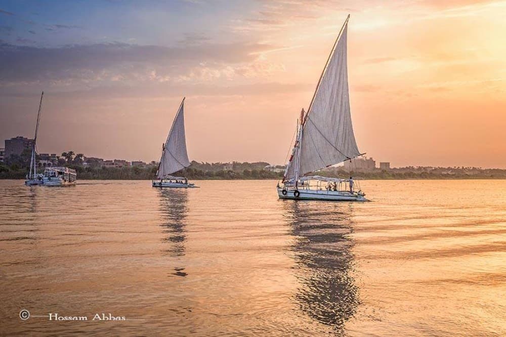 Cairo: Private Felucca Cruise Evening with Lunch | ®ExcursionMania - Image 4