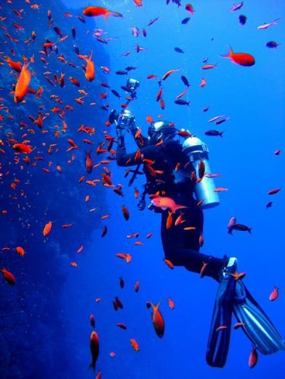Sharm El-Sheikh: Guided Shore Scuba Diving Experience with 2 Dives | ®ExcursionMania - Image 3