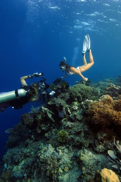 Sharm El-Sheikh: Guided Shore Scuba Diving Experience with 2 Dives | ®ExcursionMania - Image 4