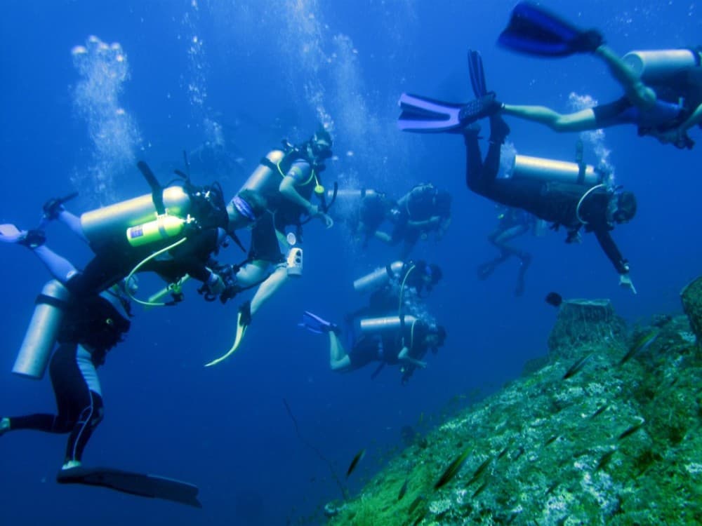 Sharm El-Sheikh: Guided Shore Scuba Diving Experience with 2 Dives | ®ExcursionMania - Image 8
