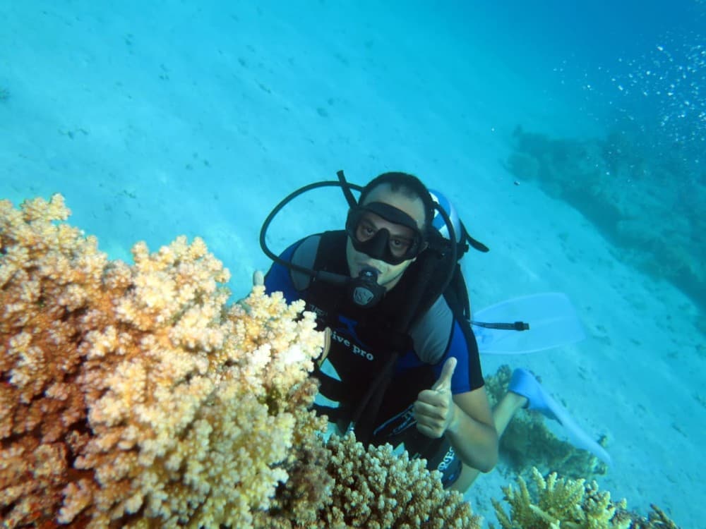 Sharm El-Sheikh: Guided Shore Scuba Diving Experience with 2 Dives | ®ExcursionMania - Image 9