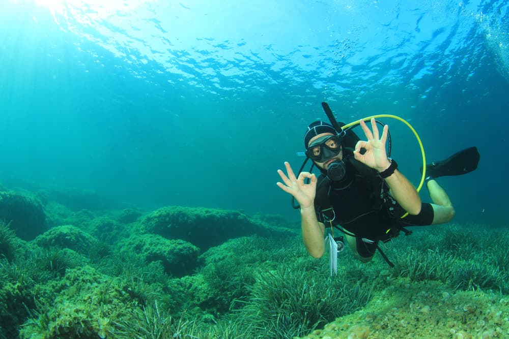 Sharm El-Sheikh: Guided Shore Scuba Diving Experience with 2 Dives | ®ExcursionMania - Image 12