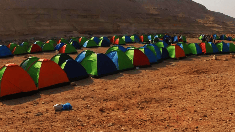 Wadi Degla Tour: Hike, Wildlife, and Scenic Desert Views | ®ExcursionMania - Image 3