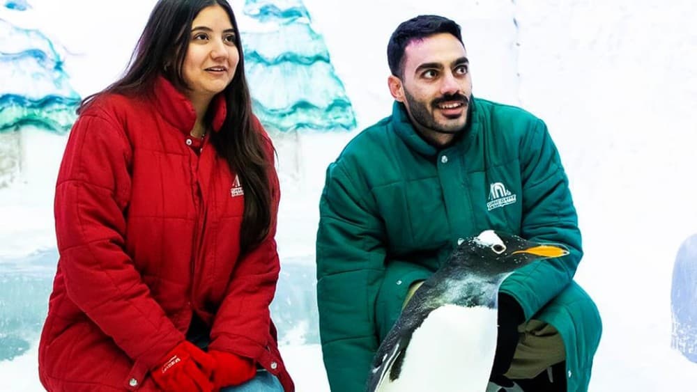 Pyramids to Penguins: Sand and Snow Adventure in Cairo | ®ExcursionMania - Image 7