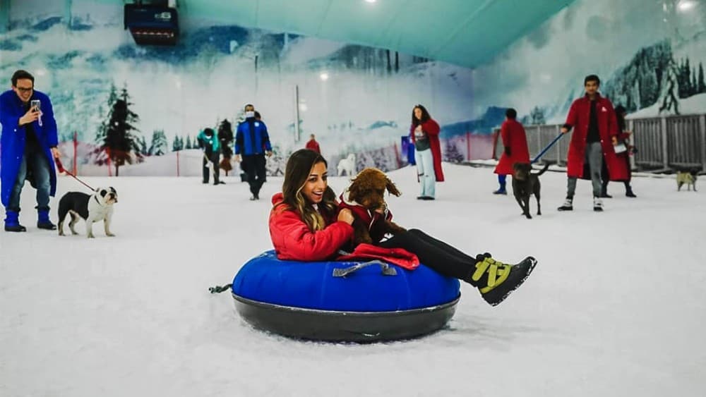 Pyramids to Penguins: Sand and Snow Adventure in Cairo | ®ExcursionMania - Image 8