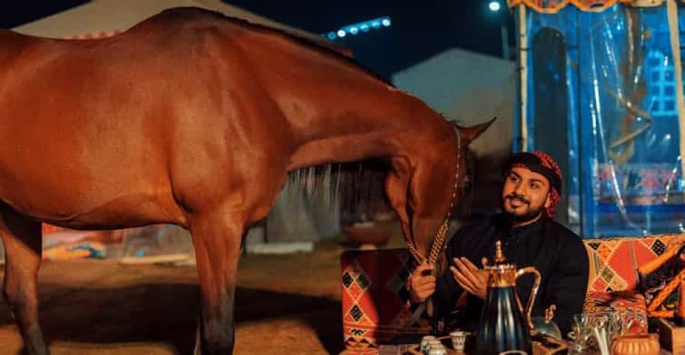 Authentic Bedouin Dining and Horse Riding in Cairo | ®ExcursionMania - Image 7