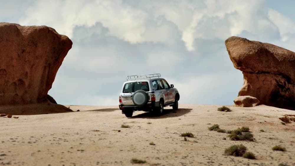 Cairo: 2-Day Bahariya & White Desert Private Camp Adventure | ®ExcursionMania - Image 6