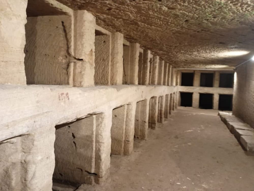 Alexandria Day Tour: Pompeys Pillar, Catacombs & Citadel Tour | ®ExcursionMania - Image 1