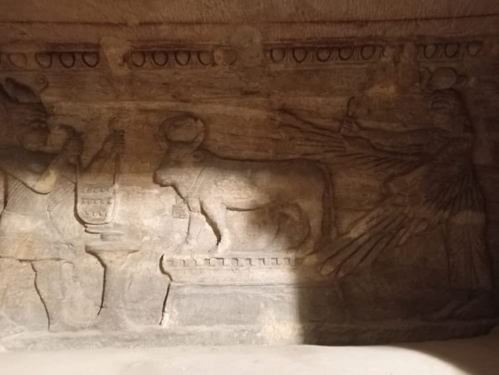 Alexandria Day Tour: Pompeys Pillar, Catacombs & Citadel Tour | ®ExcursionMania - Image 7