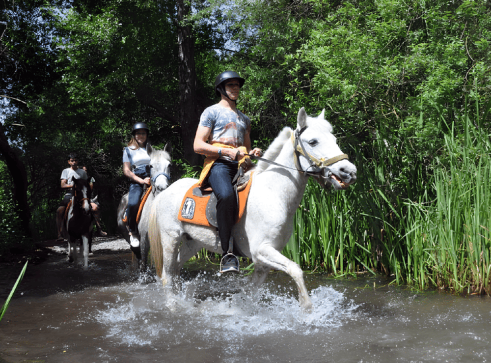 Turunc Horse Safari With Free Hotel Pickup Service | ®ExcursionMania - Image 2
