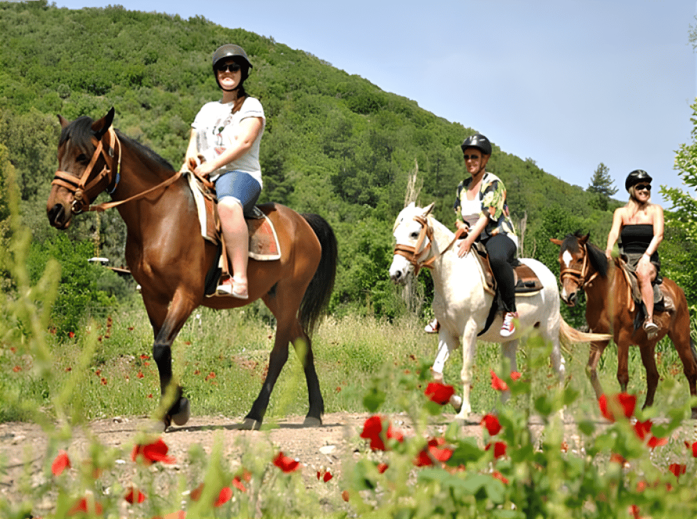 Turunc Horse Safari With Free Hotel Pickup Service | ®ExcursionMania - Image 4