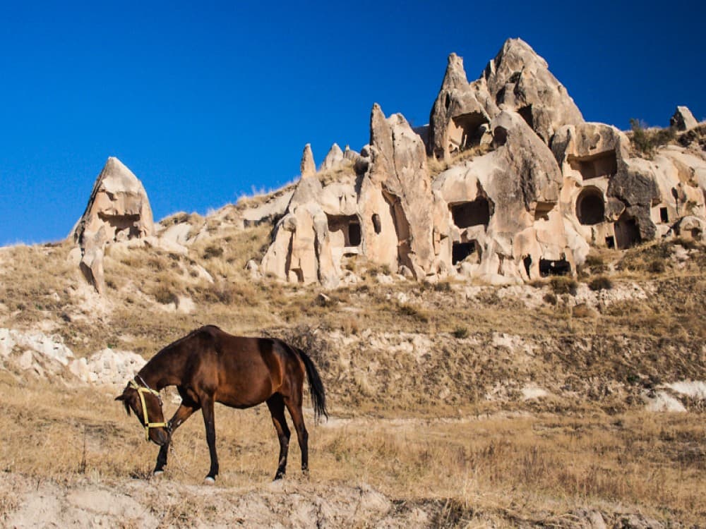 Cappadocia Adventure Combo: Horse Quad and Shooting with Camel | ®ExcursionMania - Image 2