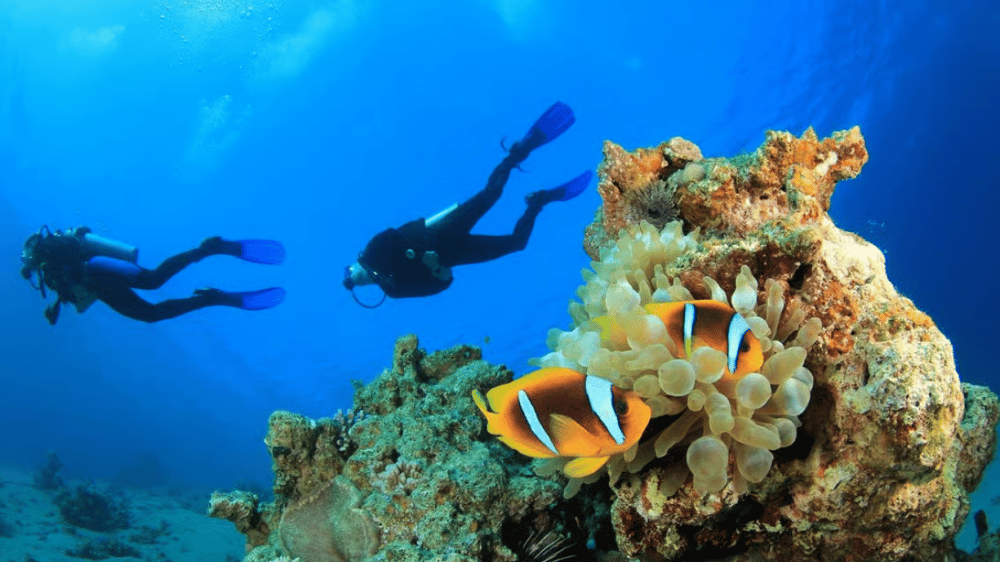 Alanya: Scuba Diving Tour with Lunch and Hotel Transfers | ®ExcursionMania - Image 3