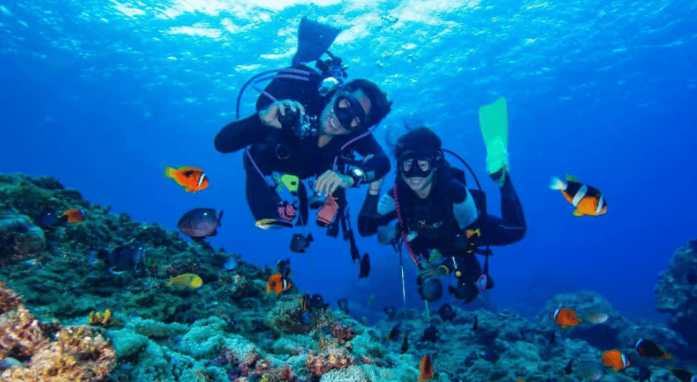 Alanya: Scuba Diving Tour with Lunch and Hotel Transfers | ®ExcursionMania - Image 6