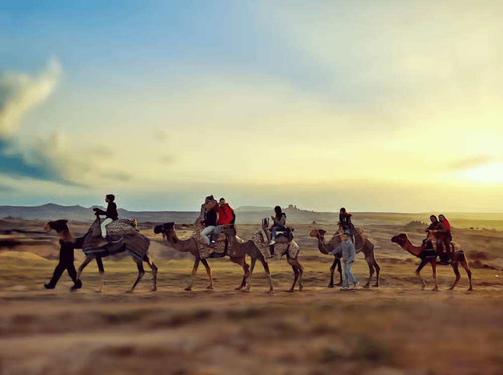 Cappadocia Camel Safari Tour | ®ExcursionMania - Image 2
