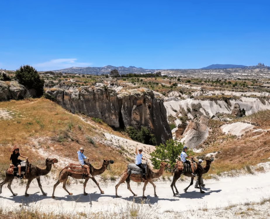 Cappadocia Camel Safari Tour | ®ExcursionMania - Image 7