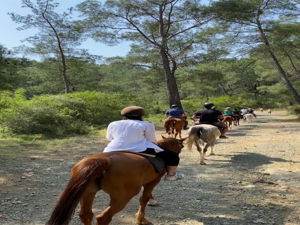 Antalya: Lara Beach & Forrest Horse Riding Safari | ®ExcursionMania - Image 3