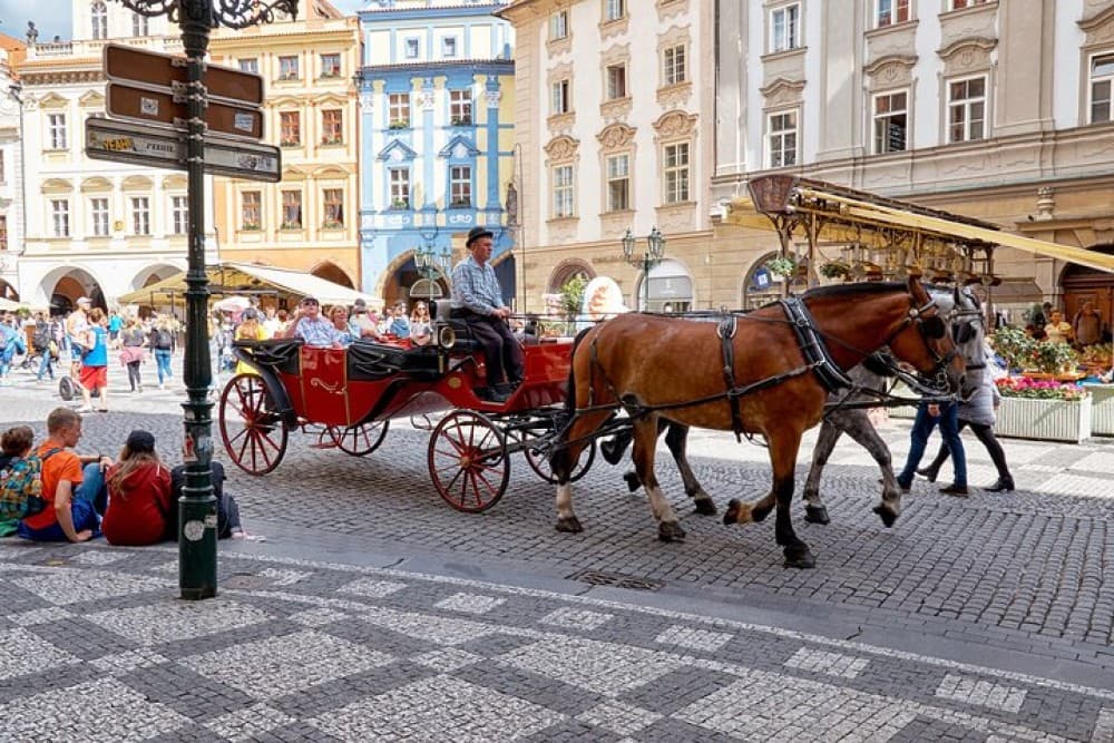 Prague Guided Walking Tour and Cruise with Authentic Czech Lunch | ®ExcursionMania - Image 6