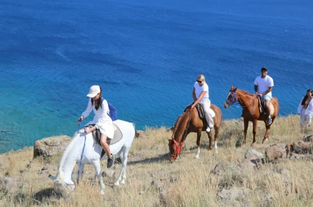 Bodrum Horse Riding Adventure | ®ExcursionMania - Image 4