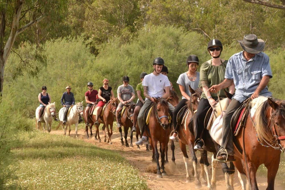 Bodrum Horse Riding Adventure | ®ExcursionMania - Image 5