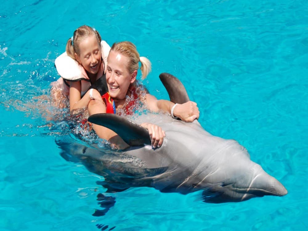Antalya: Swimming with Dolphins & Hotel Transfer | ®ExcursionMania - Image 5