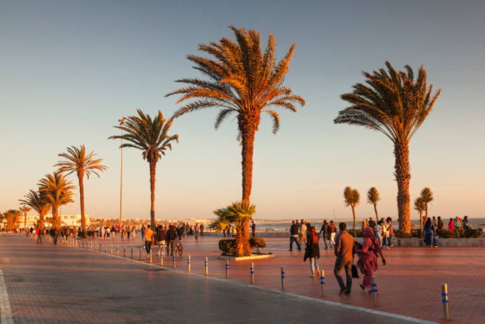 From Marrakech to the Atlantic: Agadir Day Tour with Seaside Fun | ®ExcursionMania - Image 3