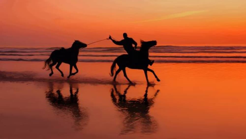 From Marrakech to the Atlantic: Agadir Day Tour with Seaside Fun | ®ExcursionMania - Image 6
