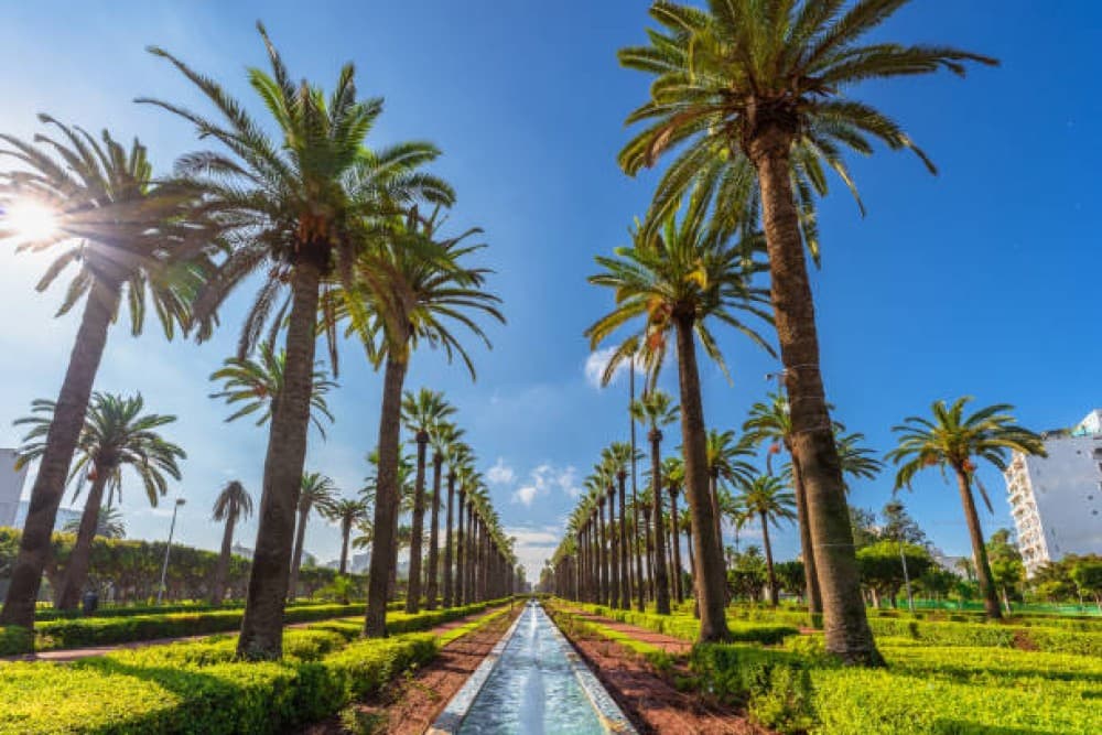 From Marrakech to the Atlantic: Casablanca Day Escape | ®ExcursionMania - Image 6