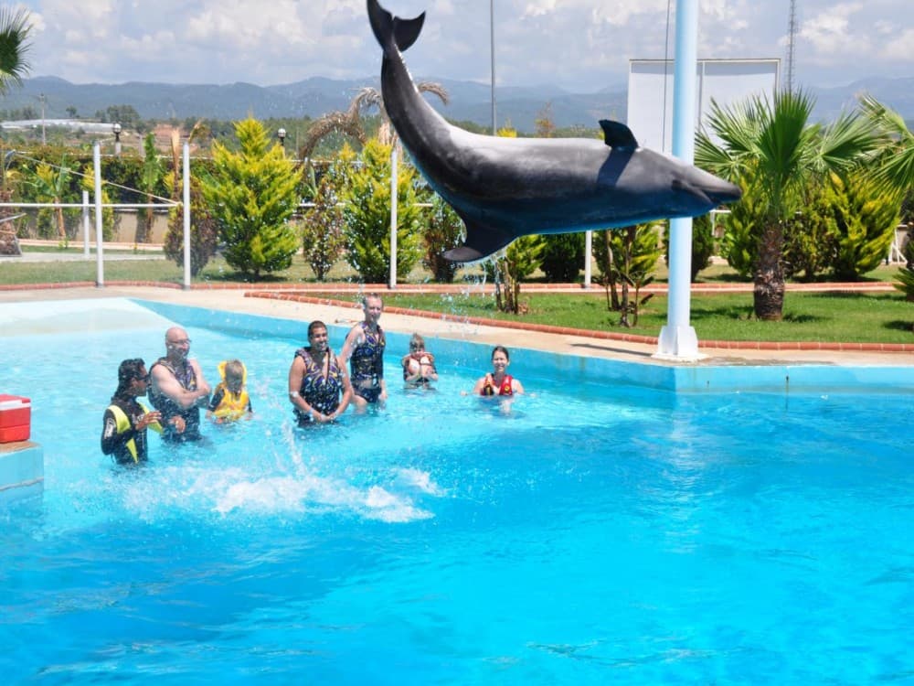 Antalya: Dolphin Show with Hotel Transfer | ®ExcursionMania - Image 4