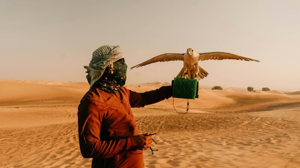 Desert Safari Dubai with BBQ Dinner | ®ExcursionMania - Image 2