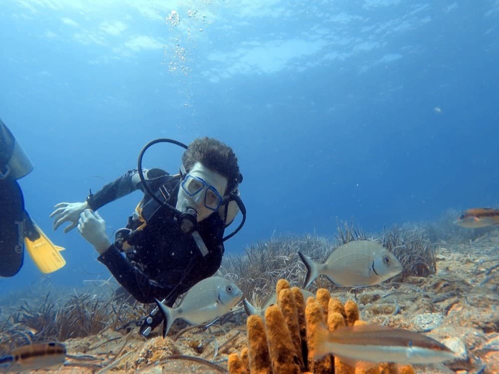 Olympos Diving Adventure: Explore the Mediterranean Depths | ®ExcursionMania - Image 1