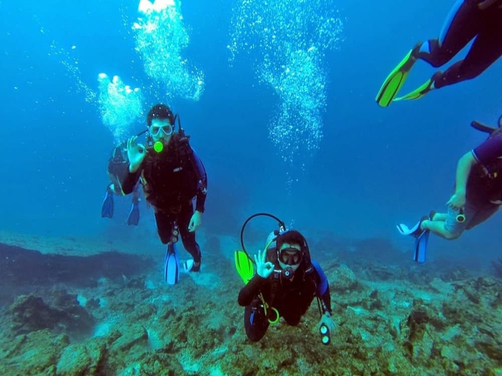 Olympos Diving Adventure: Explore the Mediterranean Depths | ®ExcursionMania - Image 2