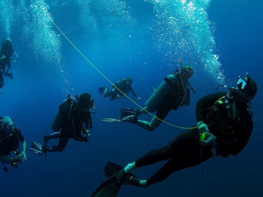 Olympos Diving Adventure: Explore the Mediterranean Depths | ®ExcursionMania - Image 3