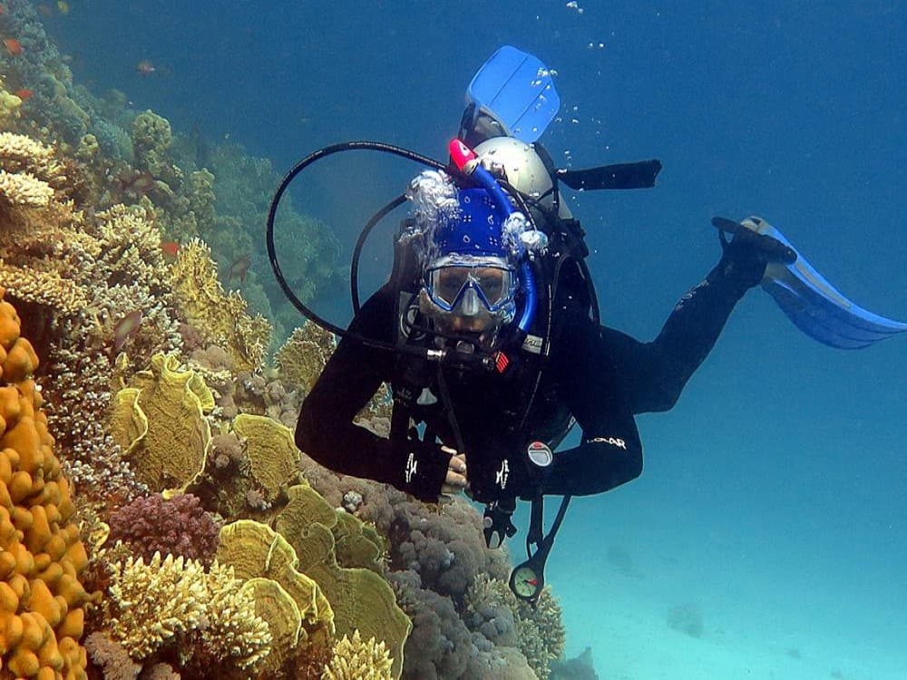 Olympos Diving Adventure: Explore the Mediterranean Depths | ®ExcursionMania - Image 4