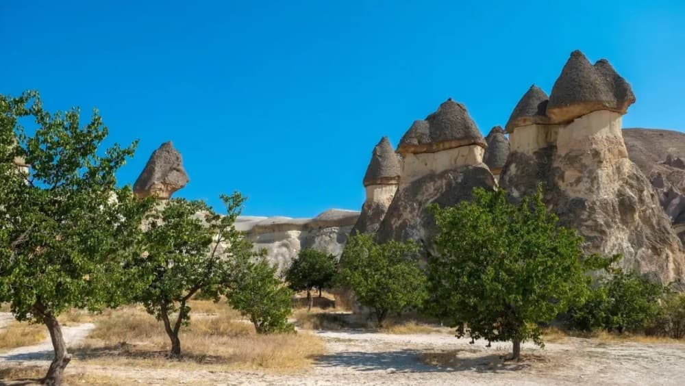 Cappadocia Excursion: Full-Day South Tour with Expert Guide | ®ExcursionMania - Image 4