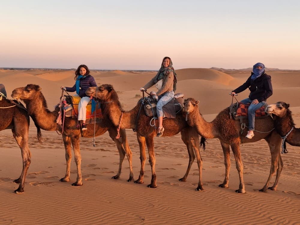 Fes to Merzouga Dunes: 2-Day Round Trip with Camel Ride & Desert Camp | ®ExcursionMania - Image 11