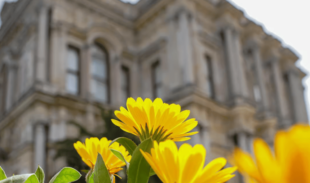 Istanbul: Beylerbeyi Palace Skip-the-Line Ticket & Audio Guide | ®ExcursionMania - Image 7