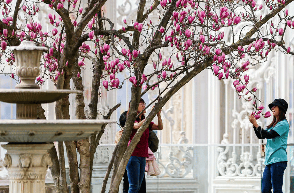 Istanbul: Dolmabahce Palace and Harem Fast-Track & Audio | ®ExcursionMania - Image 8