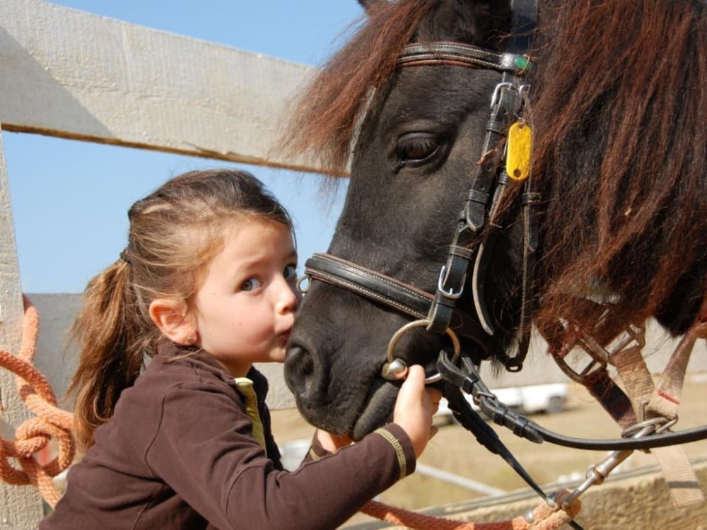 Mini Riders: Pony Fun in Marmaris | ®ExcursionMania - Image 4