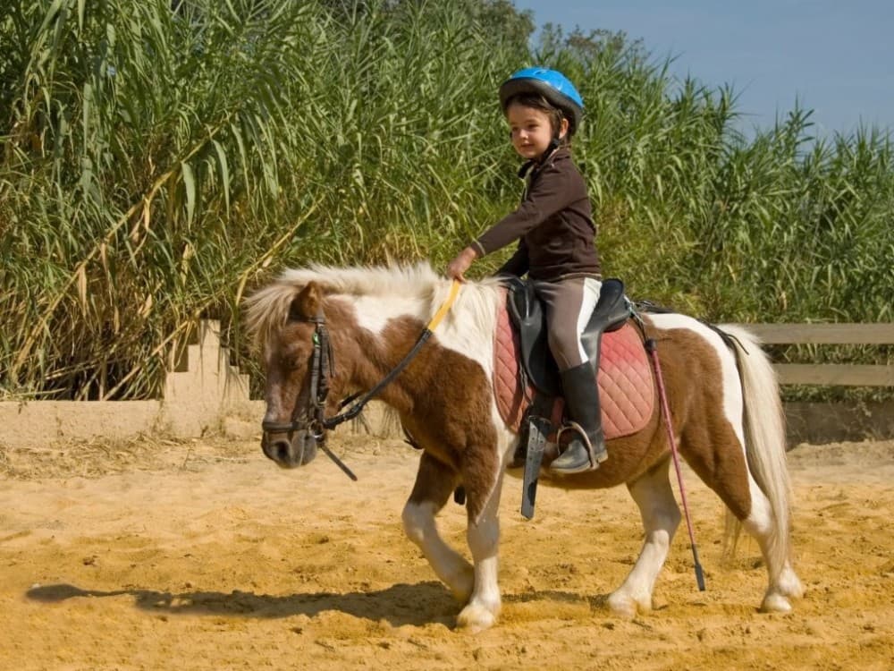 Mini Riders: Pony Fun in Marmaris | ®ExcursionMania - Image 5