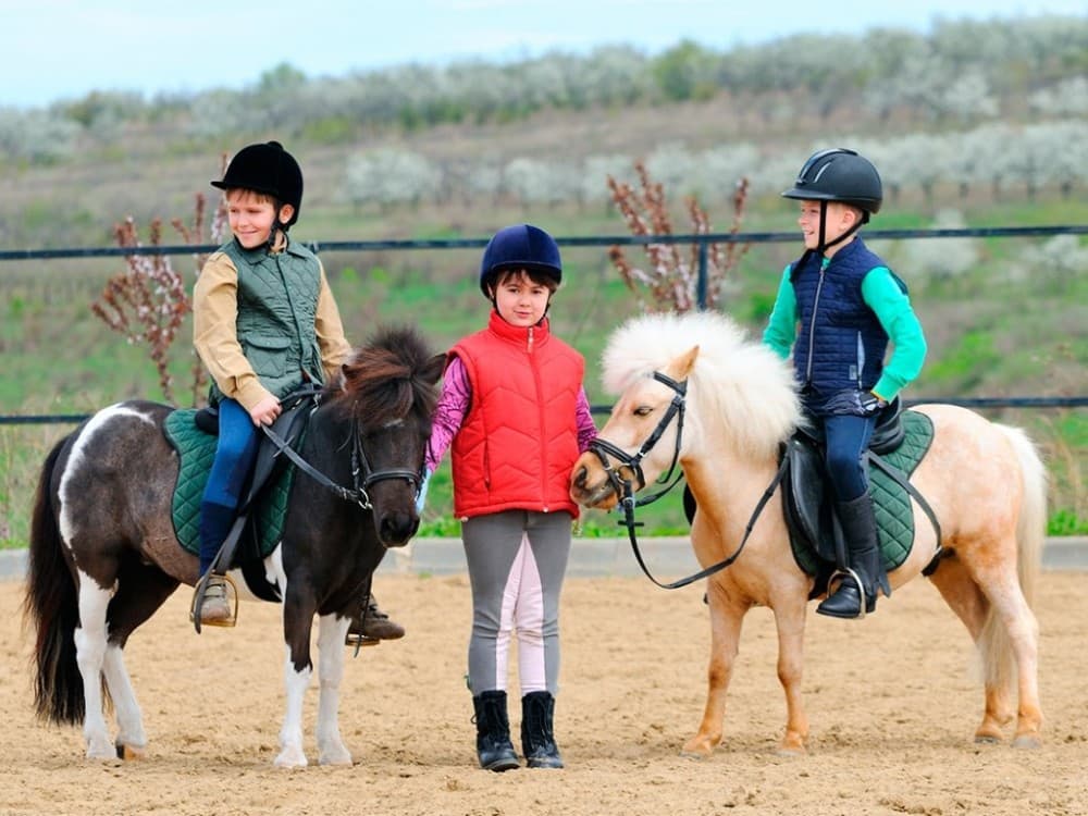 Mini Riders: Pony Fun in Marmaris | ®ExcursionMania - Image 6
