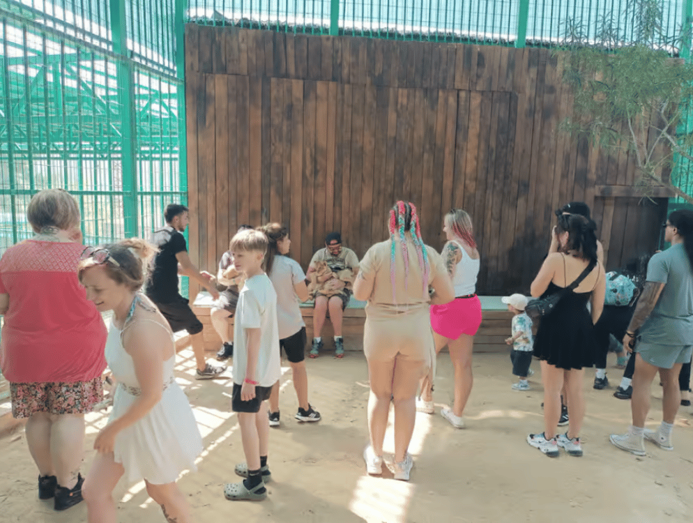 Alanya: Lion Safari & Splash Feast in Green Canyon w/Lunch | ®ExcursionMania - Image 5